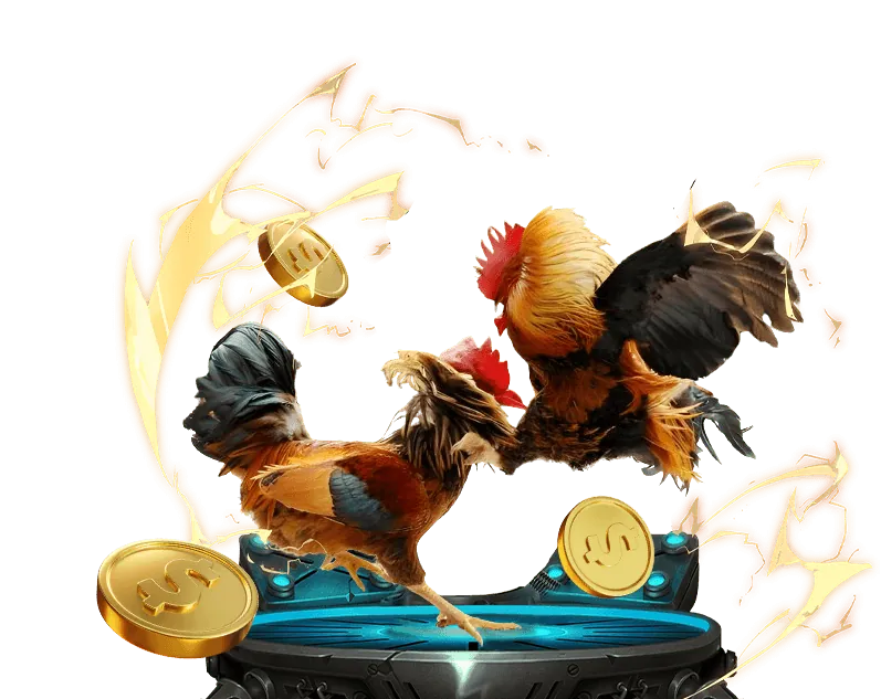 Khuyến mãi Thể Thao C168C